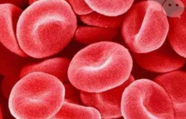 血细胞分析仪：有了人造血，以后还需要献血吗？
