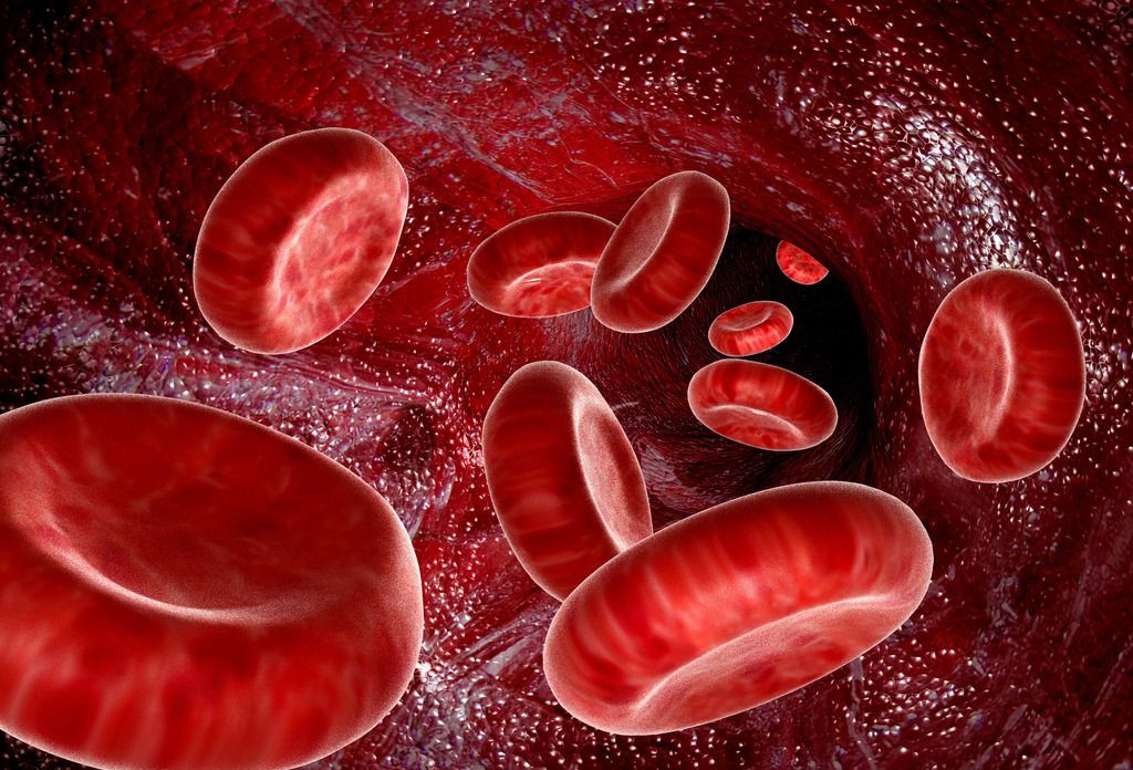 血细胞分析仪厂家：血液的调理