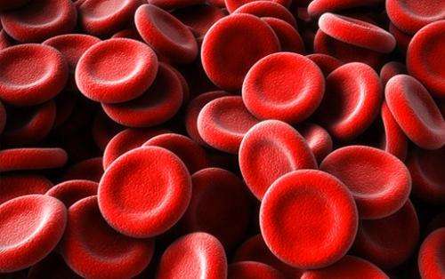 血常规对红细胞的检测